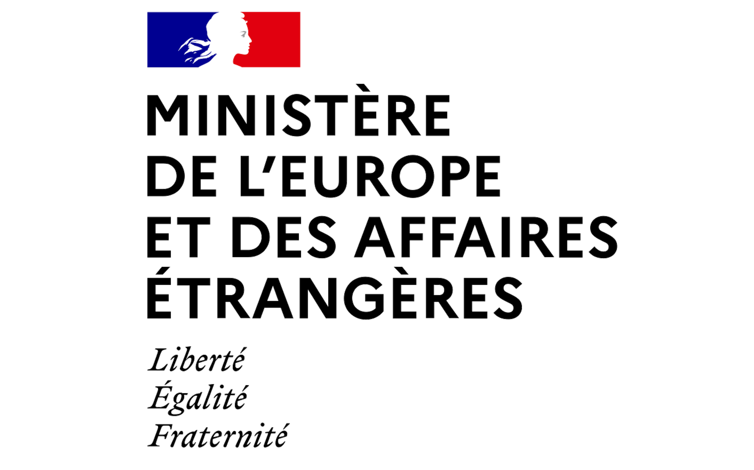 Link to the Ministère de l'Europe et des Affaires Etrangères website