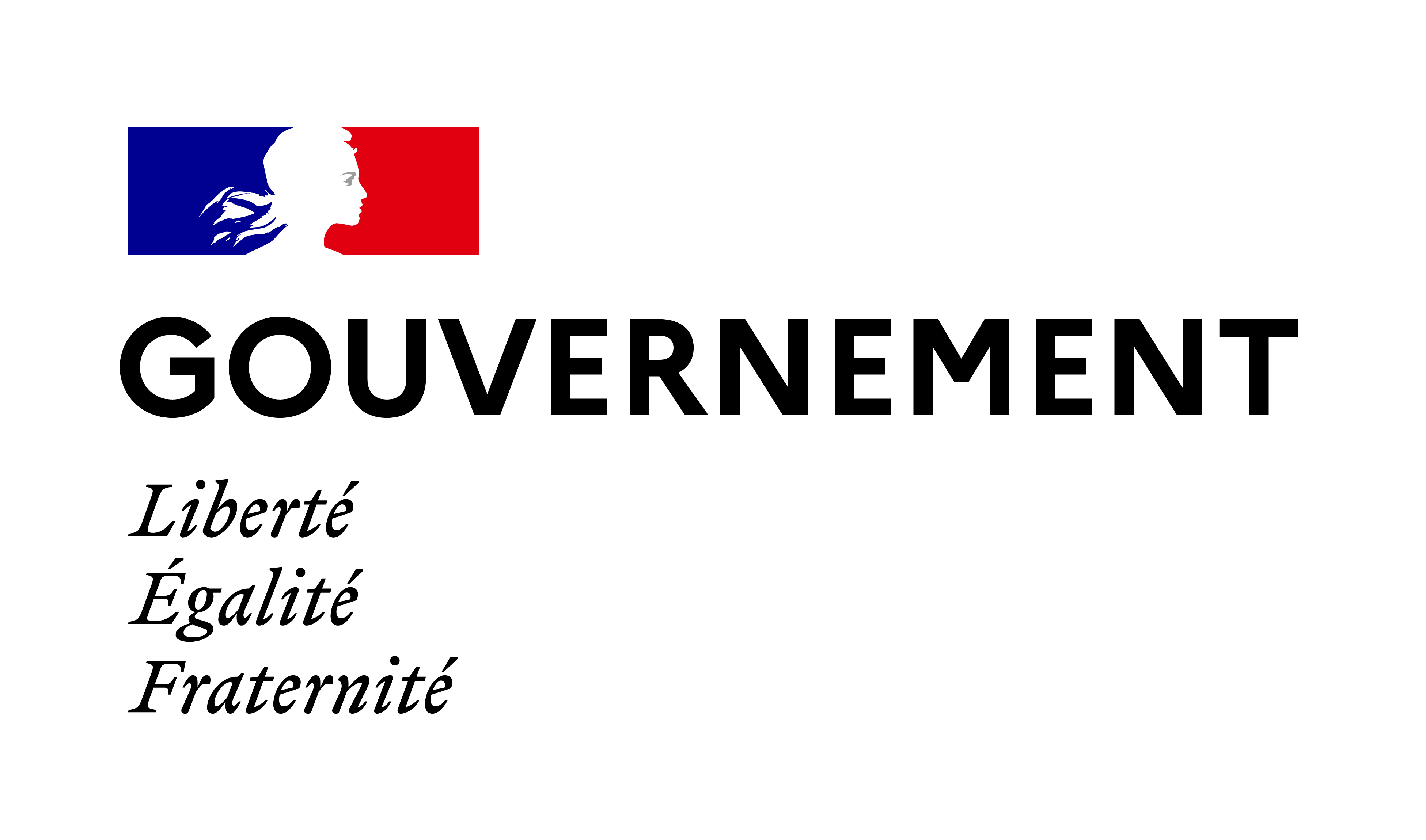 Visas gouv fr. Логотип Франции. Правительство Франции эмблема. Французуий лого. Правительство Франции иллюстрация.